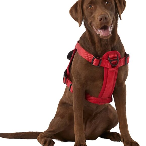 KONG Ultra Durable Waste Bag Harness (XL, Red) - Picture 2 of 3